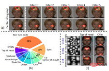 The traditional GAN can be interpreted after modification, and ensures the interpretability of the convolution kernel and the authenticity of the generated images. The traditional GAN can be interpreted after modification, and ensures the interpretability of the convolution kernel and the authenticity of the generated images.