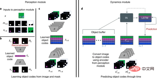 Laissez l’IA penser comme un bébé ! Modèle DeepMind « Plato » publié dans la sous-journal Nature