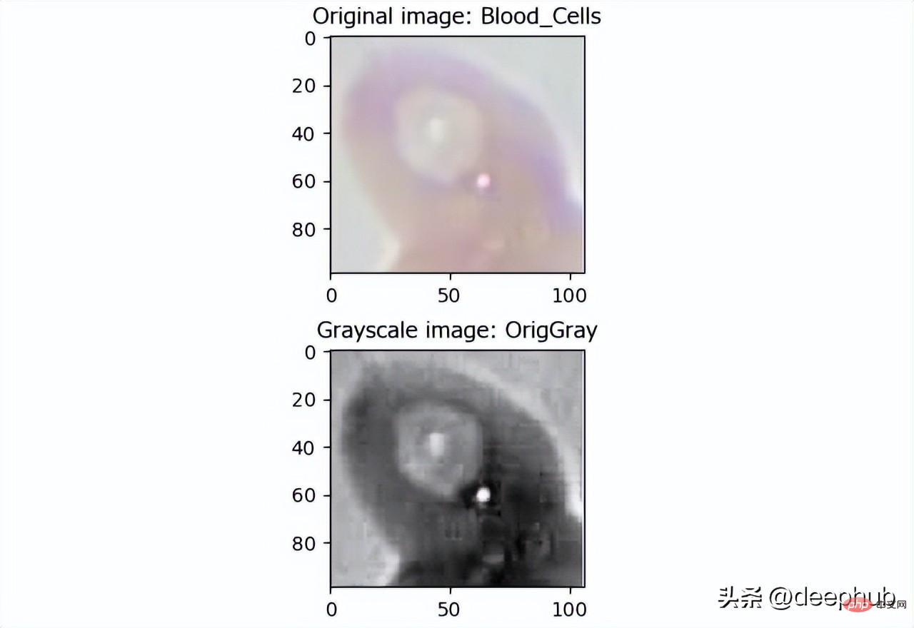 A brief analysis of active learning of cell image data