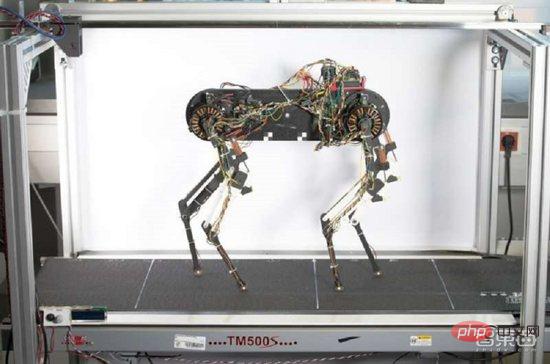 Bolehkah anjing robot belajar berjalan dalam satu jam? Meniru naluri haiwan, penyelidikan yang diterbitkan dalam sub-jurnal Alam