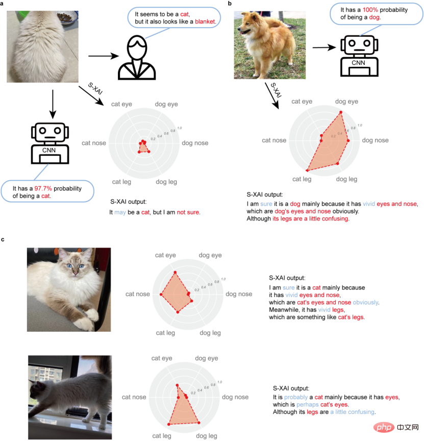 Kenapa kucing? AI yang boleh dijelaskan memahami mekanisme pengecaman CNN dari peringkat semantik