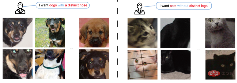 Why a cat? Explainable AI understands the recognition mechanism of CNN from a semantic level