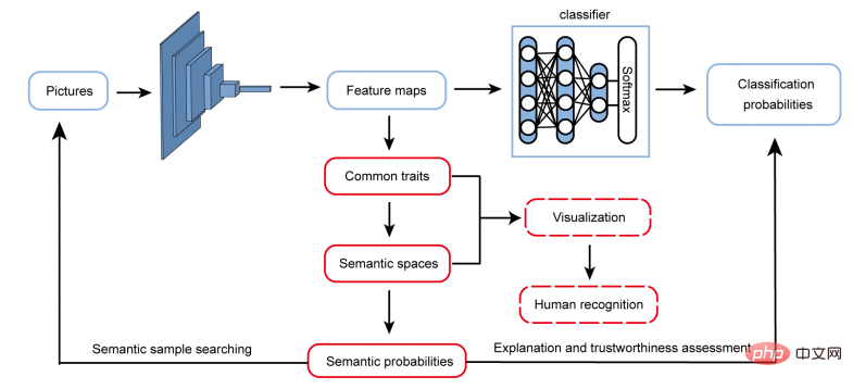 Why a cat? Explainable AI understands the recognition mechanism of CNN from a semantic level