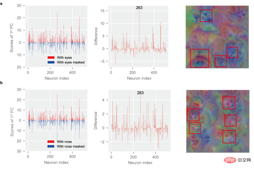 Why a cat? Explainable AI understands the recognition mechanism of CNN from a semantic level