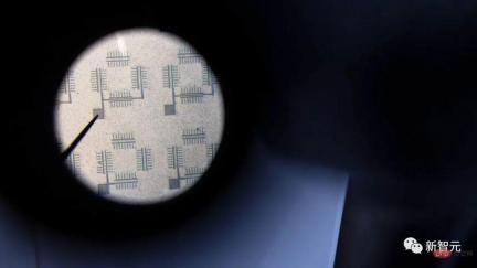 Cilia can also be used as chips! A work by a Chinese doctoral student from Cornell appears on the cover of Nature