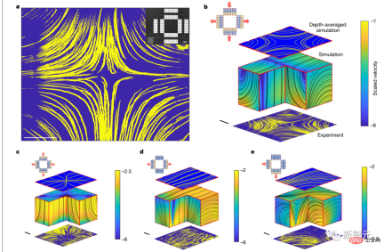 Cilia can also be used as chips! A work by a Chinese doctoral student from Cornell appears on the cover of Nature