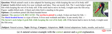 The first multi-modal scientific question and answer data set with detailed explanations, deep learning model reasoning has a thinking chain The first multi-modal scientific question and answer data set with detailed explanations, deep learning model reasoning has a thinking chain