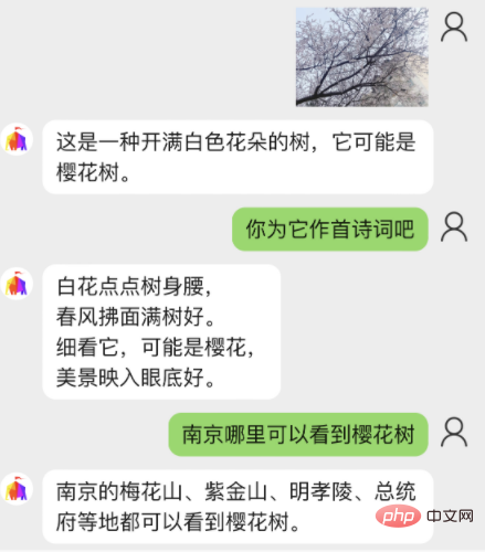 带“眼睛”的ChatGPT应用来了！百亿参数多模态大模型加持，读图聊天样样全能