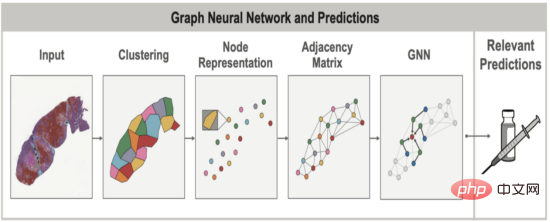 PathAI uses machine learning to drive drug development