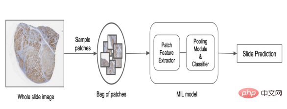 PathAI uses machine learning to drive drug development