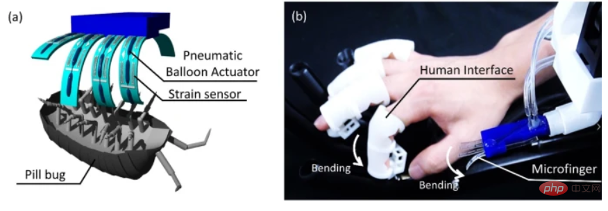 Japanese scholars develop the smallest mechanical finger in history, which can tickle insects and feel the touch of their belly