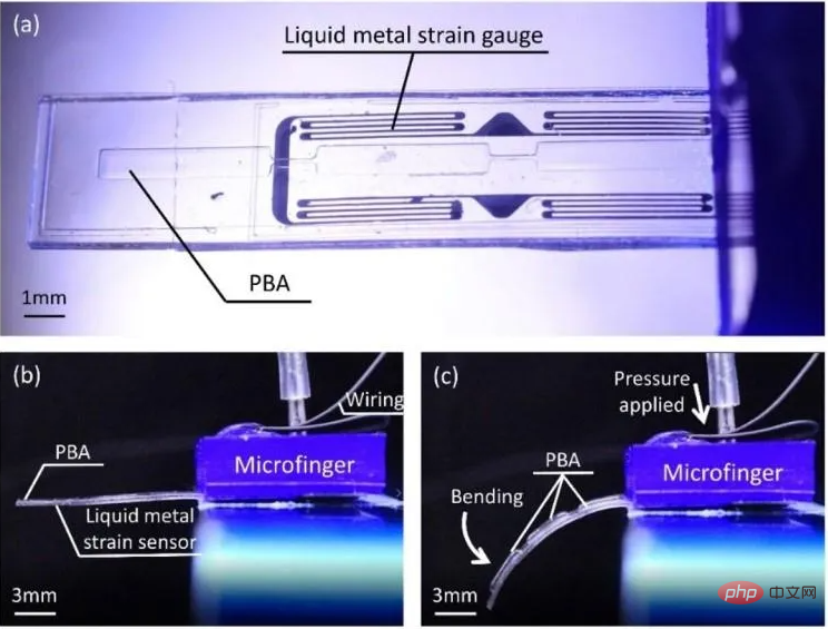 Japanese scholars develop the smallest mechanical finger in history, which can tickle insects and feel the touch of their belly