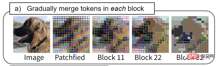 Idea baharu untuk mempercepatkan model ViT! Meta melancarkan Penggabungan Token, yang bergantung pada penggabungan dan bukannya pemangkasan