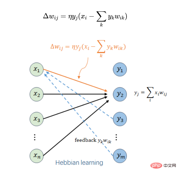 脳にヒントを得た AI モデル: 活性化学習、困難な逆伝播