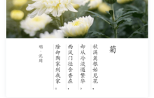 人工智能基础：人工智能云服务（Alaas）