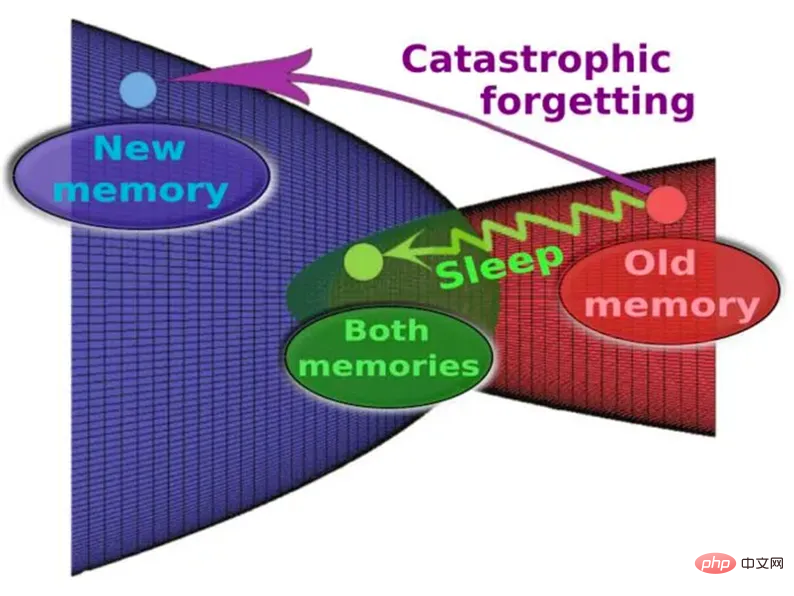 How to make AI have universal capabilities? New study: Put it to sleep