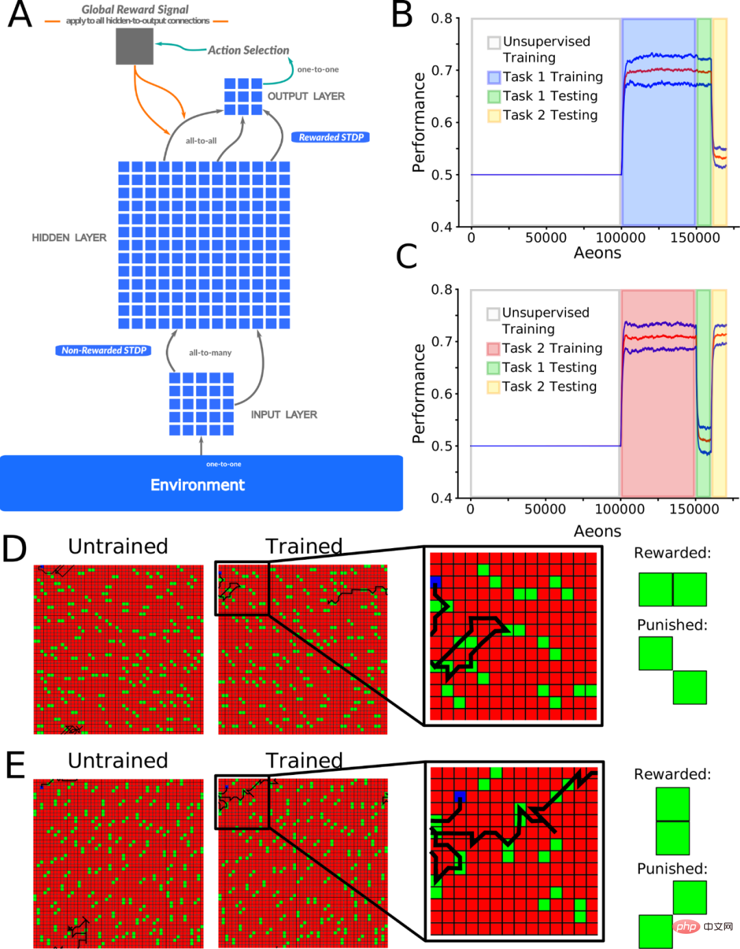 How to make AI have universal capabilities? New study: Put it to sleep