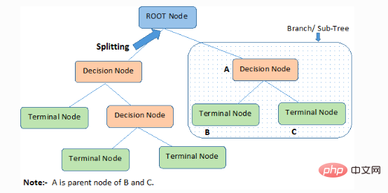 Anatomy of Decision Tree Algorithm