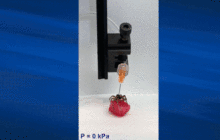 死蜘蛛转世成为机械臂:人们求之不得的微型气动抓手来了