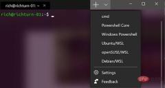 Windows で Python コードを記述するにはどうすればよいですか?素晴らしい戦略が登場します!