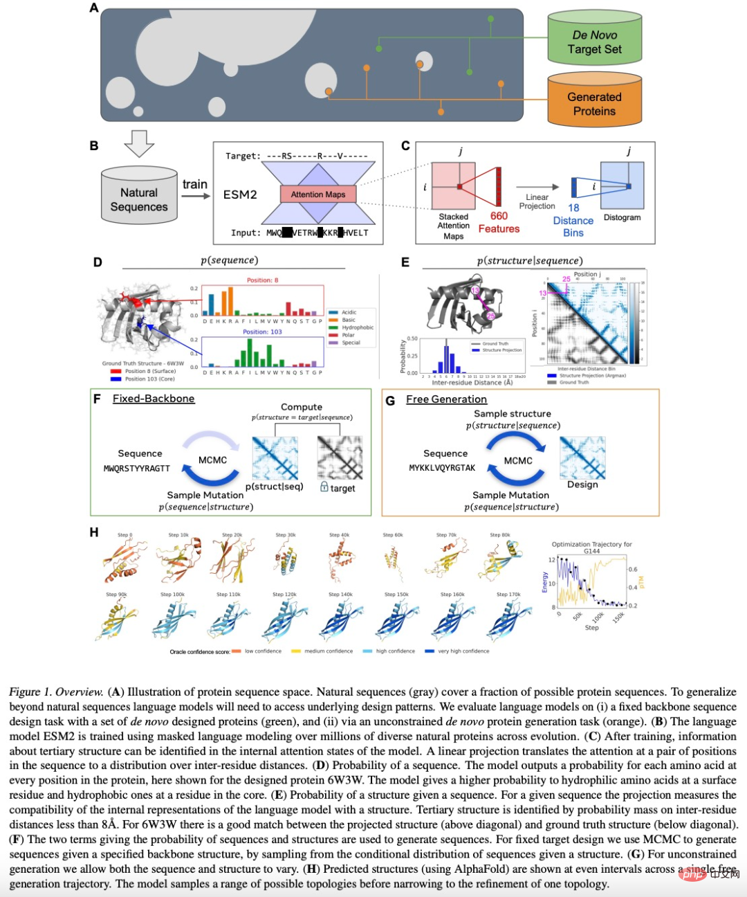 CoRL 2022 Excellent Paper; Language Model Generates Proteins Not Found in Nature