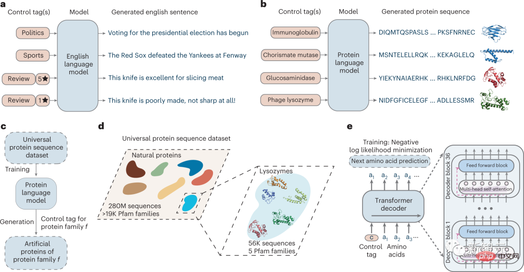 Beyond the Nobel Prize? For the first time in the biological world, ChatGPT has synthesized a new protein from scratch, and it has been published in the Nature sub-journal!