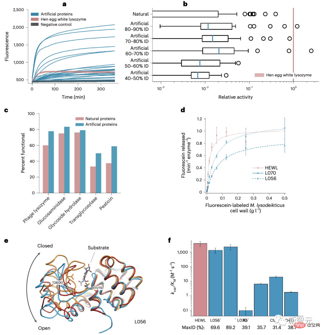 Jenseits des Nobelpreises? „ChatGPT“ hat in der biologischen Welt zum ersten Mal die Synthese eines neuen Proteins von Grund auf geschafft und es wurde im Nature-Unterjournal veröffentlicht!