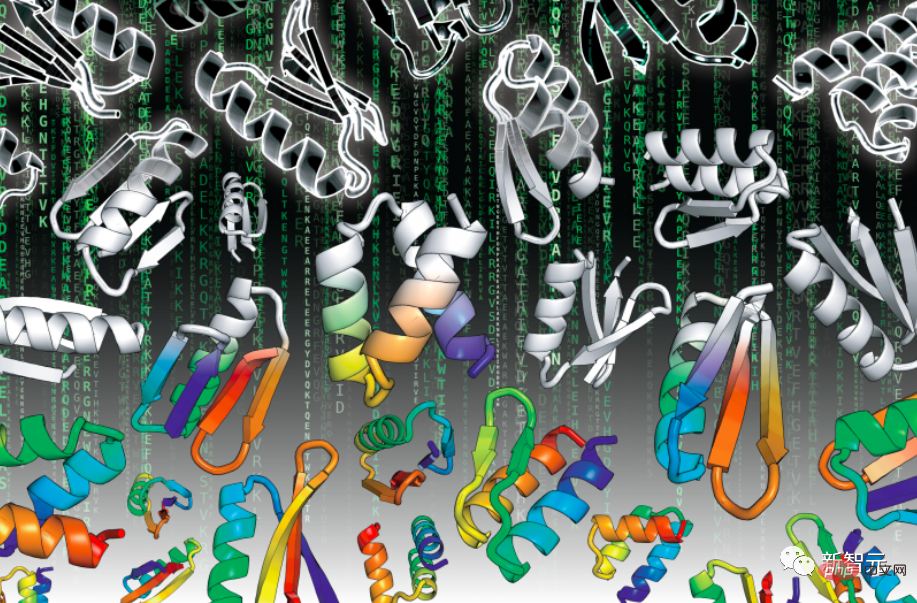 Beyond the Nobel Prize? For the first time in the biological world, ChatGPT has synthesized a new protein from scratch, and it has been published in the Nature sub-journal!