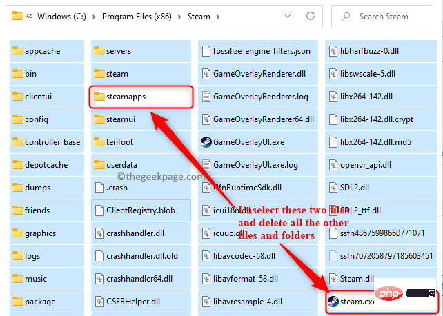 Delete-files-folders-in-steam-except-steamapps-steam-exec-min