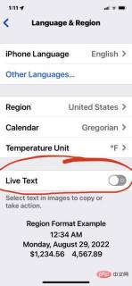 如何在 iPhone 和 iPad 上禁用实时文本