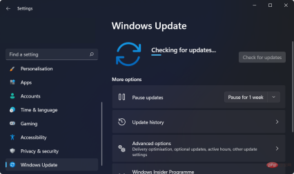 수정: Windows 11의 비디오 메모리 관리 내부 오류
