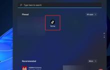 如何在 Windows 11 中删除 TikTok