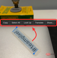 iOS 15 live text not working? How to fix and scan text in pictures