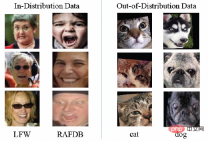 Worrying image quality interferes with visual recognition, DAMO Academy proposes a more robust framework Worrying image quality interferes with visual recognition, DAMO Academy proposes a more robust framework