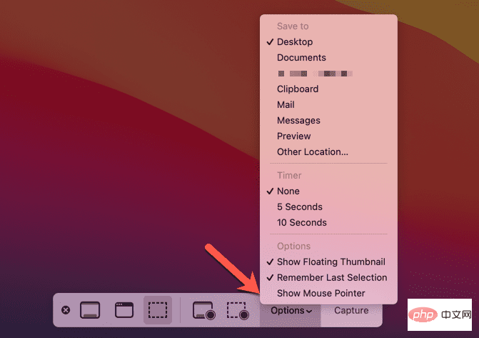 Mac-Screenshot-Bar-Options