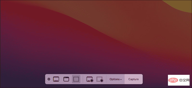 Mac-Screenshot-Options-Bar