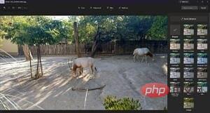 Apl Windows 11 Photos mendapat editor reka bentuk semula dan kemas kini baharu