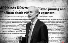 斯坦福校长学术不端指控再升级！校报万字长文质疑造假，校长怒发全校邮件自证清白