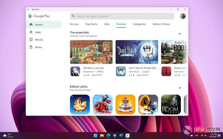 如何在 Windows 11 上安装 Google Play 商店