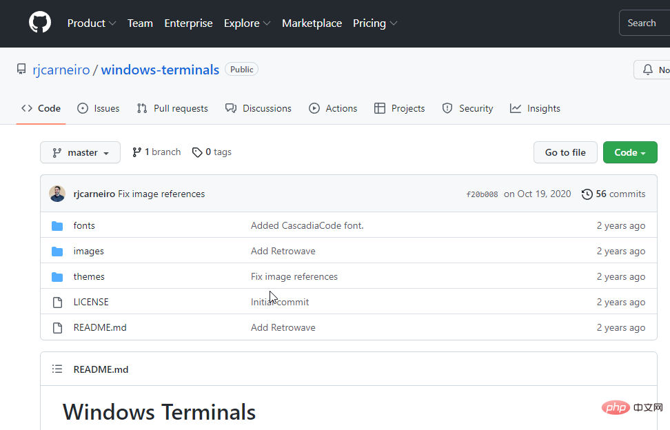 So laden Sie Terminal-Designs in Windows 11 herunter und installieren sie