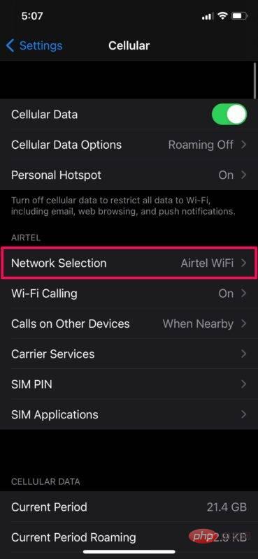 How to manually select a carrier network on iPhone