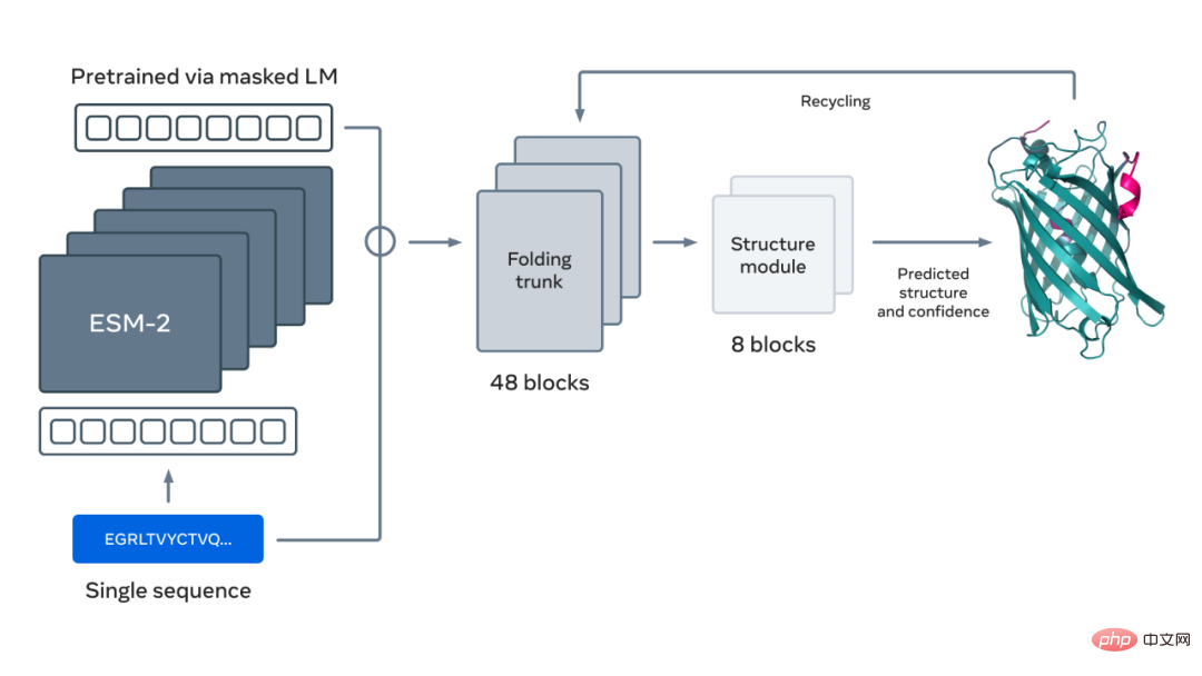 Meta AI opens 600 million+ metagenomic protein structure maps, and 15 billion language models were completed in two weeks