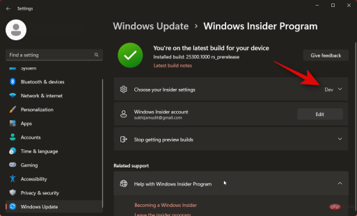 How to install Windows 11 Canary Edition