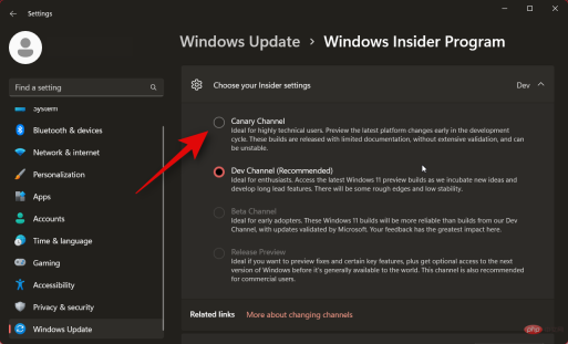 How to install Windows 11 Canary Edition