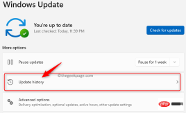 How to Fix Bad Image Error 0xc0000020 in Windows 11/10