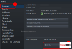 Fatal Error: Unable to connect to local Steam client process fix