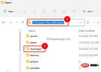 Fatal Error: Unable to connect to local Steam client process fix