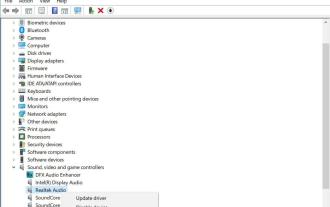 如何在 Windows 10 和 11 上重新安裝最新的 Realtek 高清音訊管理器