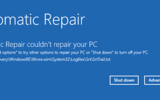 Comment réparer srttrail.txt sur Windows 11