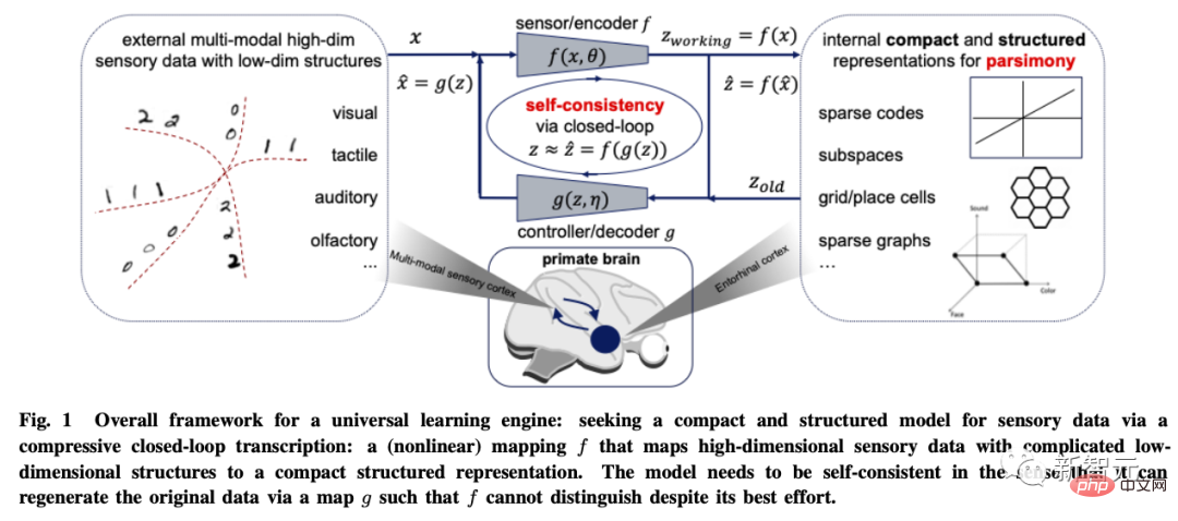 Leitet die KI-Entwicklung die Vereinigung in 70 Jahren ein? Ma Yi, Cao Ying, Shen Xiangyangs neueste KI-Rezension: Erkundung der Grundprinzipien und des „Standardmodells“ der Intelligenzgenerierung